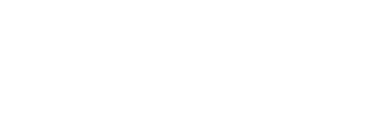 Media Sector